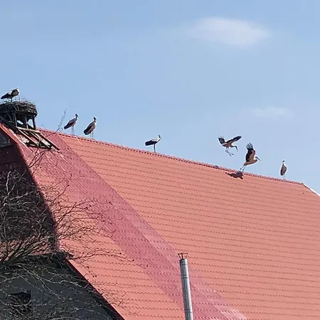 施塔恩霍夫酒店 奥伊廷