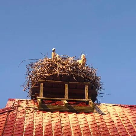 Storchenhof * Eutin
